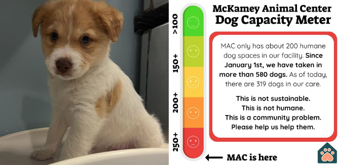 MAC at capacity; seeking community's help